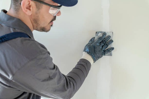 Best Drywall Crack Repair  in Sullivans Island, SC